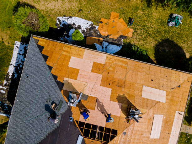 Best Storm Damage Roof Repair  in Cypress Landing, NC